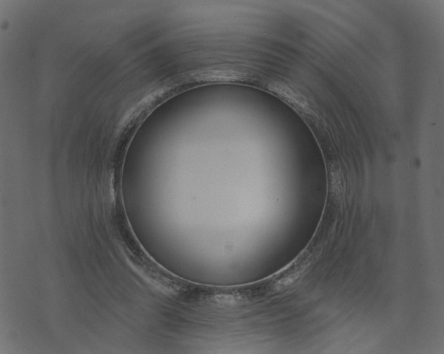 X0000073710302200608171145