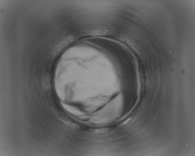 X0000073710303200608171145