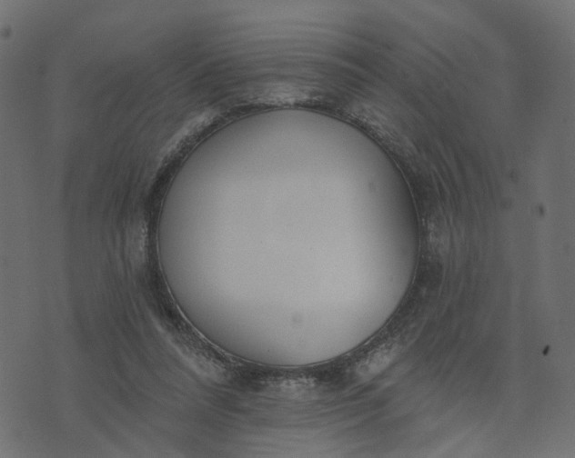 X0000073710304200608171145