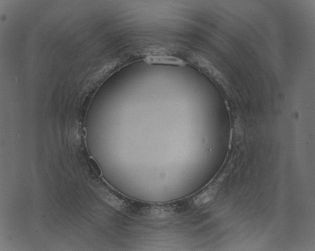 X0000073710305200608171145