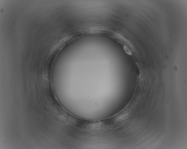 X0000073710306200608171145