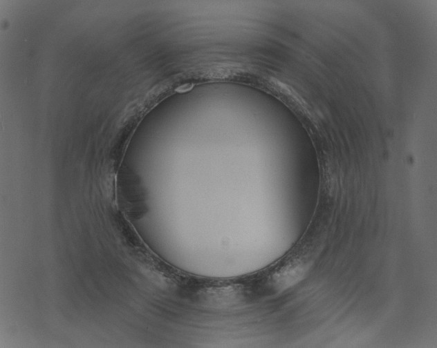 X0000073710307200608171145