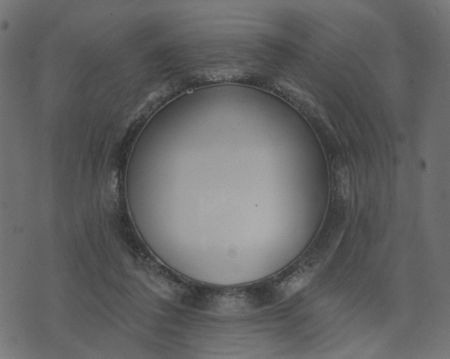 X0000073710308200608171145