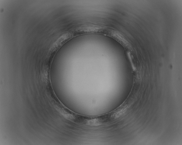 X0000073710309200608171145