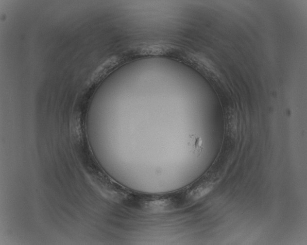 X0000073710312200608171145