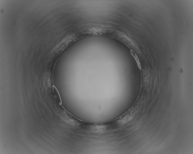 X0000073710313200608171145