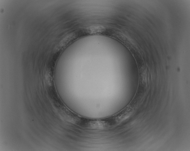 X0000073710316200608171145