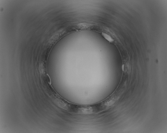 X0000073710317200608171145