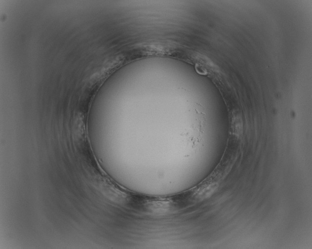 X0000073710318200608171145