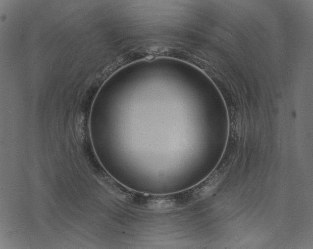 X0000073710319200608171145