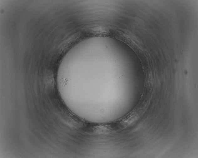 X0000073710320200608171145