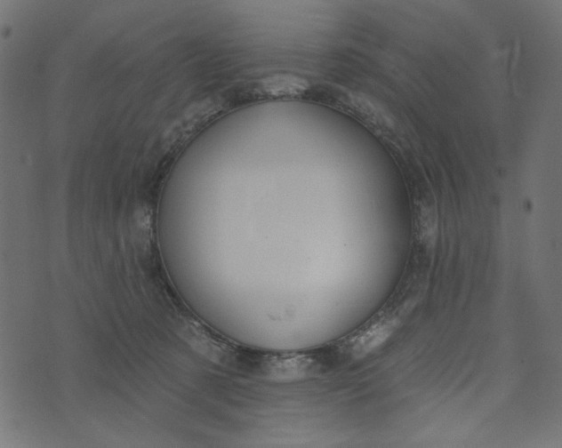 X0000073710321200608171144