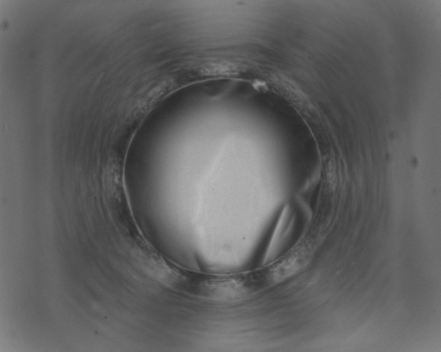 X0000073710322200608171144