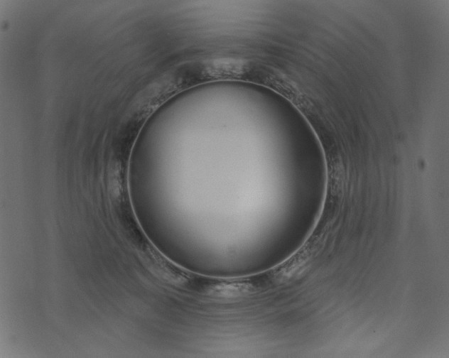 X0000073710323200608171144