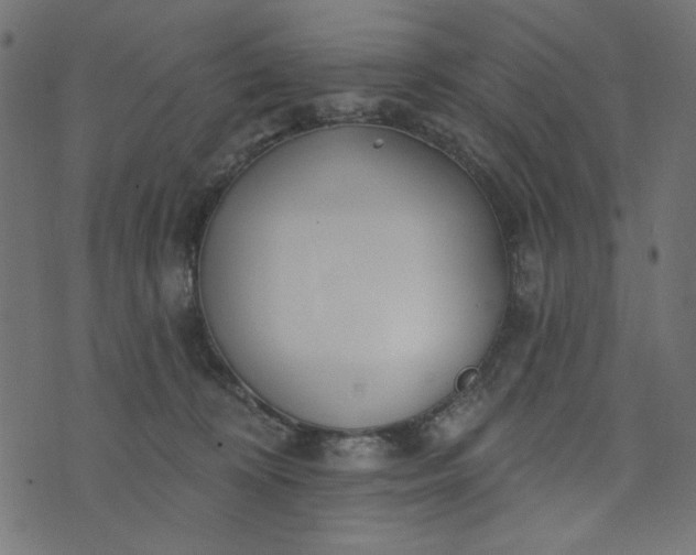 X0000073710324200608171144