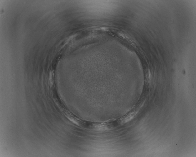 X0000073710325200608171144