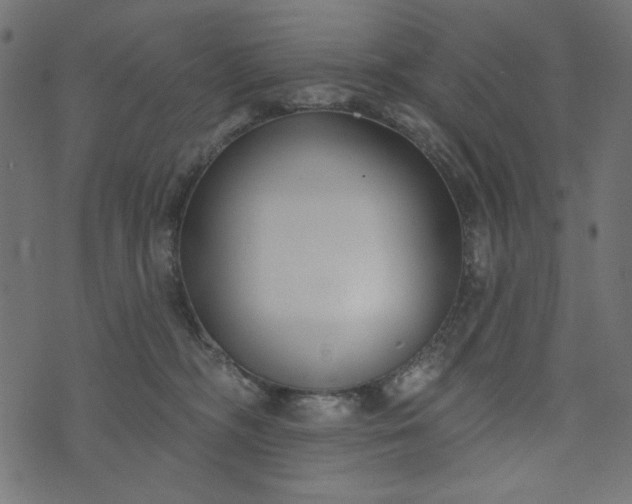 X0000073710326200608171144