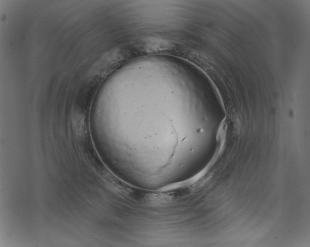 X0000073710327200608171144