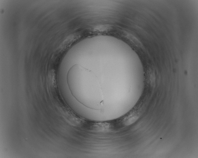 X0000073710328200608171144