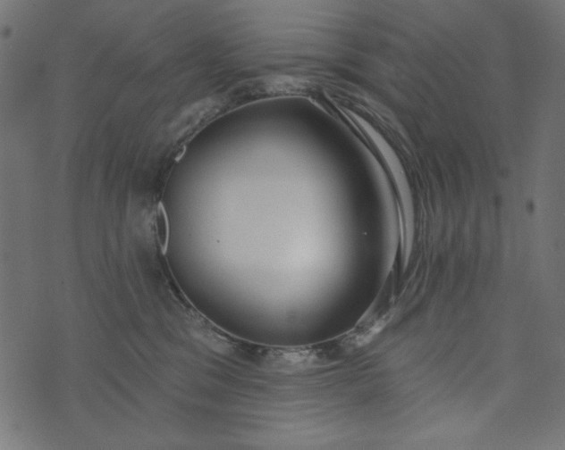 X0000073710329200608171144