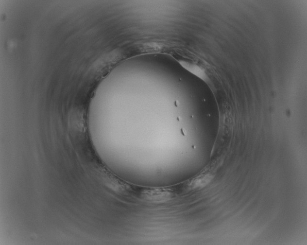 X0000073710331200608171144