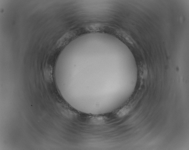 X0000073710332200608171144