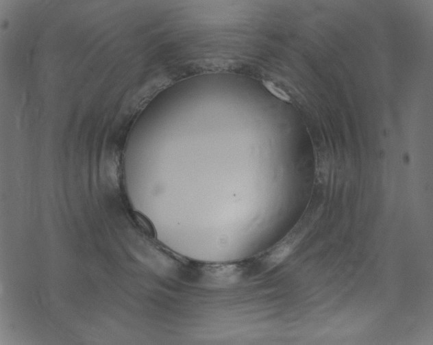 X0000073710334200608171144