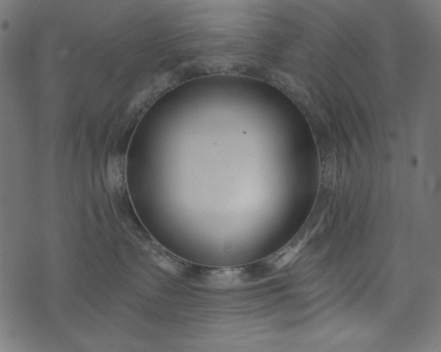 X0000073710335200608171144