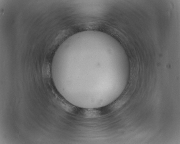 X0000073710336200608171144