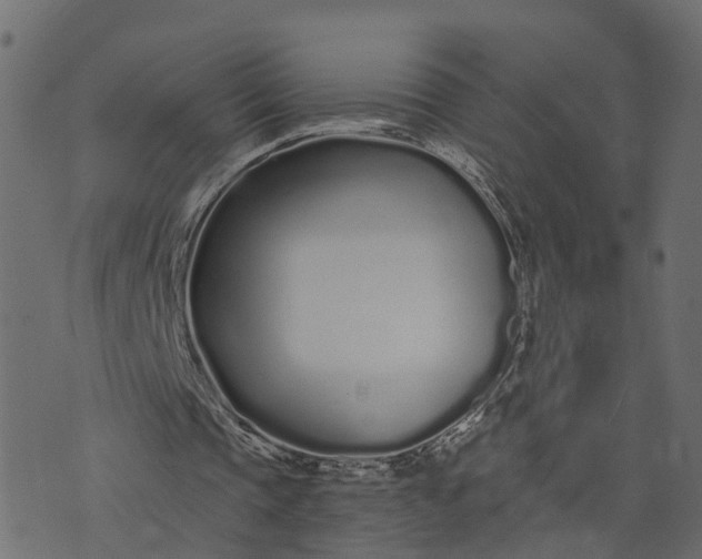 X0000073710337200608171143