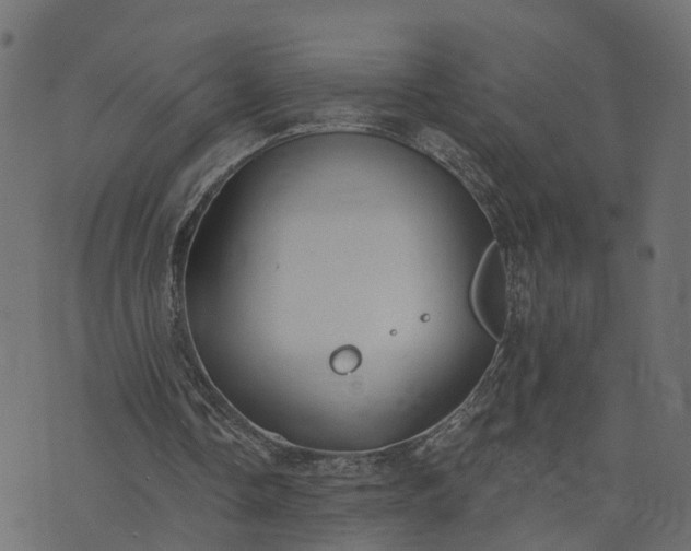 X0000073710338200608171143