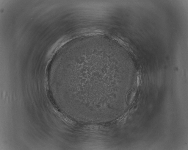 X0000073710339200608171143