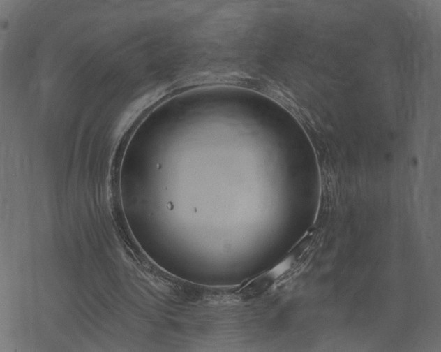 X0000073710340200608171144