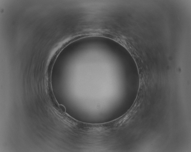 X0000073710342200608171144