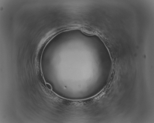 X0000073710343200608171144