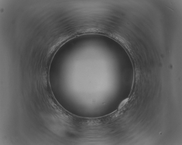 X0000073710345200608171144