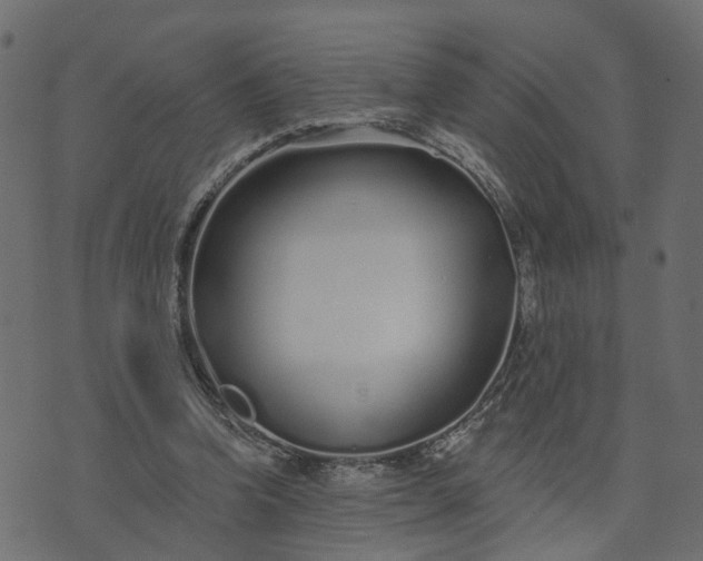 X0000073710346200608171144