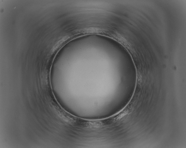 X0000073710347200608171144