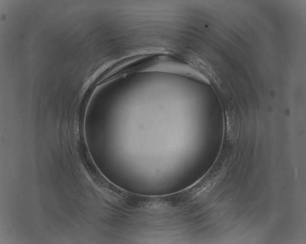 X0000073710348200608171144