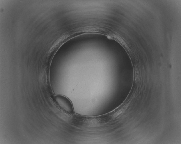 X0000073710349200608171144