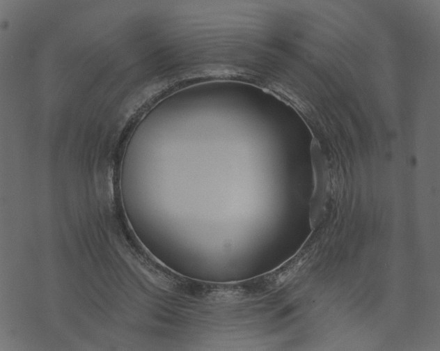 X0000073710350200608171144