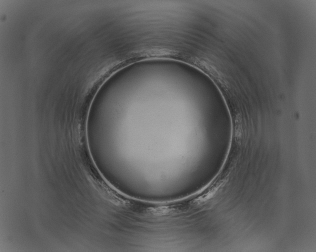 X0000073710351200608171144