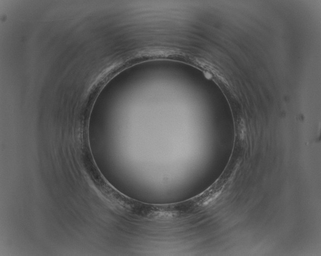 X0000073710352200608171144