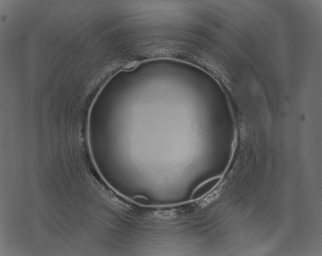 X0000073710353200608171144