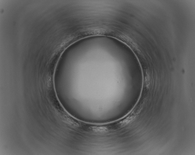 X0000073710355200608171144