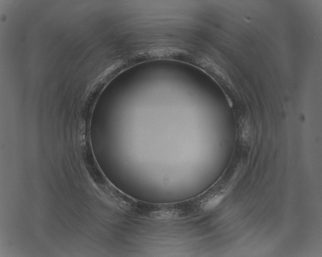 X0000073710356200608171144