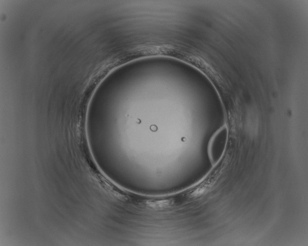 X0000073710357200608171144