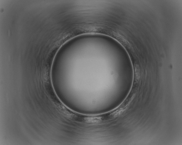 X0000073710359200608171144