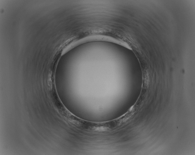 X0000073710360200608171144