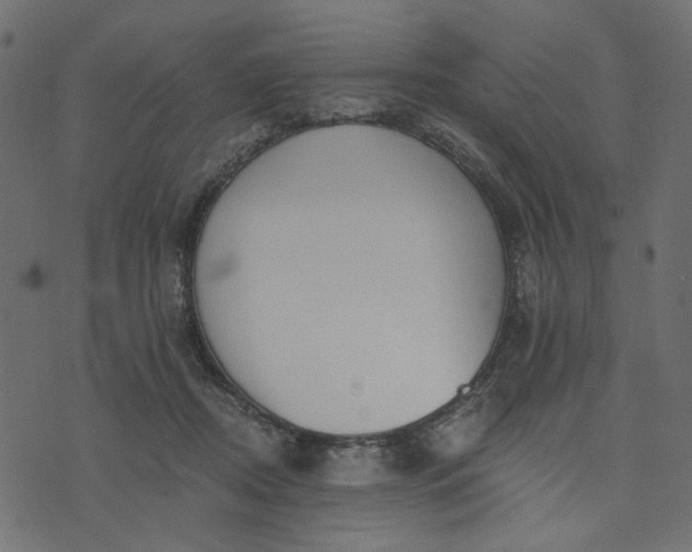 X0000073710362200608171144